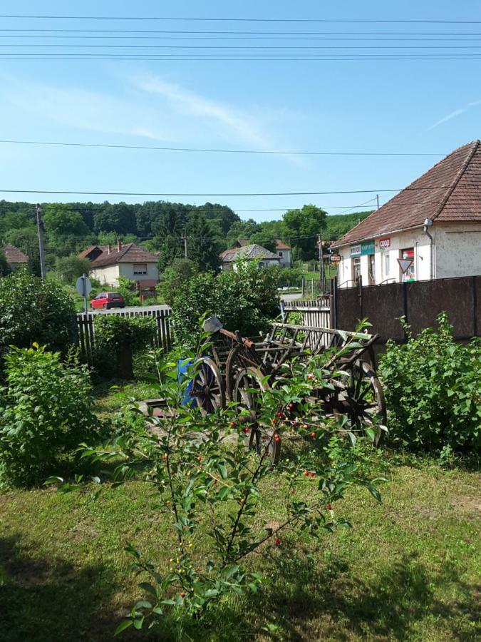 Ibolya Apartman Daire Kano Dış mekan fotoğraf